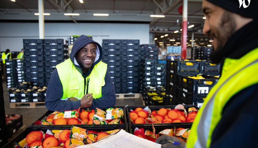 Rejoignez notre équipe chez Aldi : Opportunités d'emploi passionnantes à saisir !